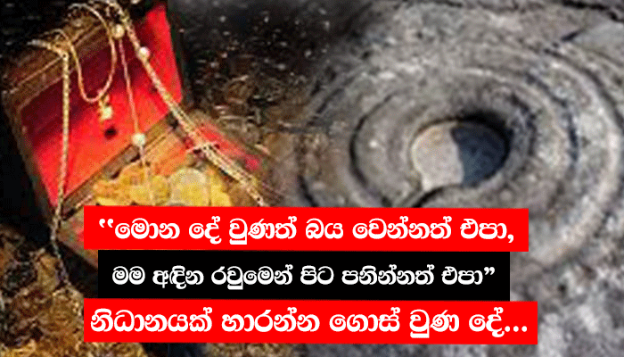 “මොන දේ වුණත් බය වෙන්නත් එපා, මම අඳින රවුමෙන් පිට පනින්නත් එපා” නිධානයක් හාරන්න ගොස් වුණ දේ…