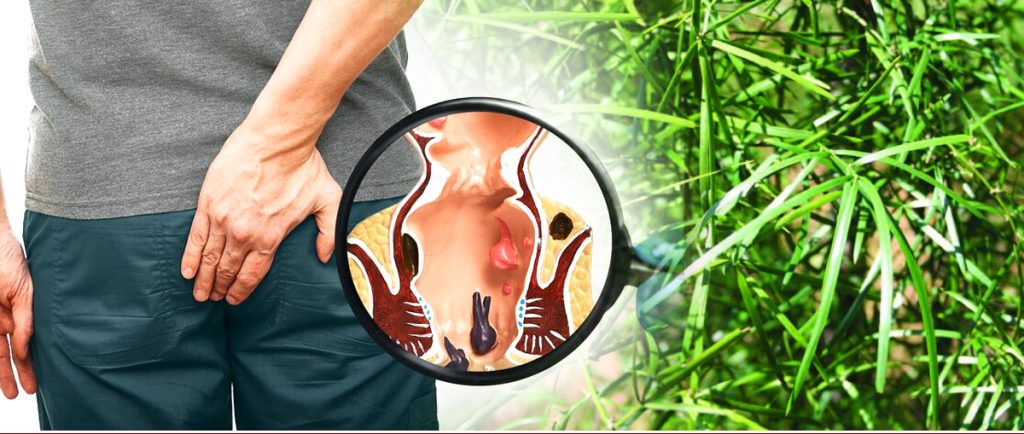 අර්ශස් රෝගය නිට්ටාවටම සුව කරගන්න හතාවාරිය වලින් ඔසුවක් සකසා ගන්නේ මෙහෙමයි…