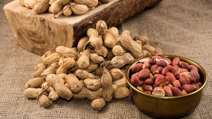 මෙච්චර දවසක් රටකජු කෑවට අද තමයි රටකජු ගැන හරියටම දැන ගත්තේ..රටකජු ගැන ඔබ නොදත් කතාවක් මෙන්න.