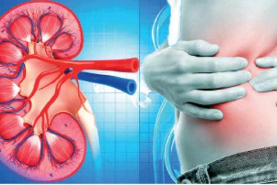 වකුගඩු ගැන සැලකිමත් වෙන ඔබට මෙන්න කලින්ම වකුගඩු නරක් වෙනවා නම් දැනගන්න පුළුවන් විදිහ…