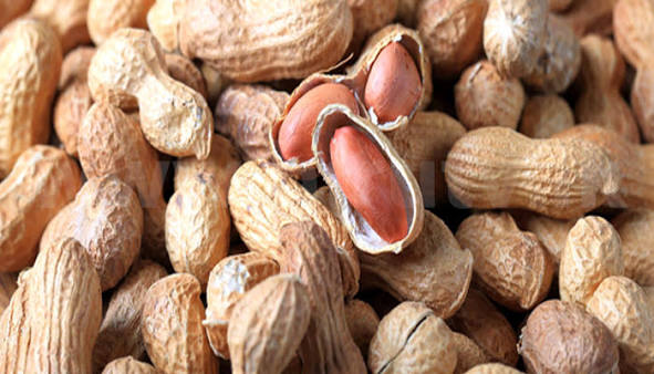 මෙකේ වටිනාකම දන්න අය හිටවගෙන හරි කනවා..රට කජු වල මේ තරම් ගුණ තියෙනවා කියලා දැනගත්තෙ අද තමයි..