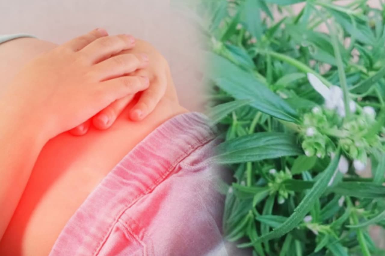 උදරාබාධ ඇතුලු රෝග රැසක් සුව කල හැකි ගැට තුඹ සත්කාරය ගැන ඇහුවොත් ඔබත් පුදුම වේවී.