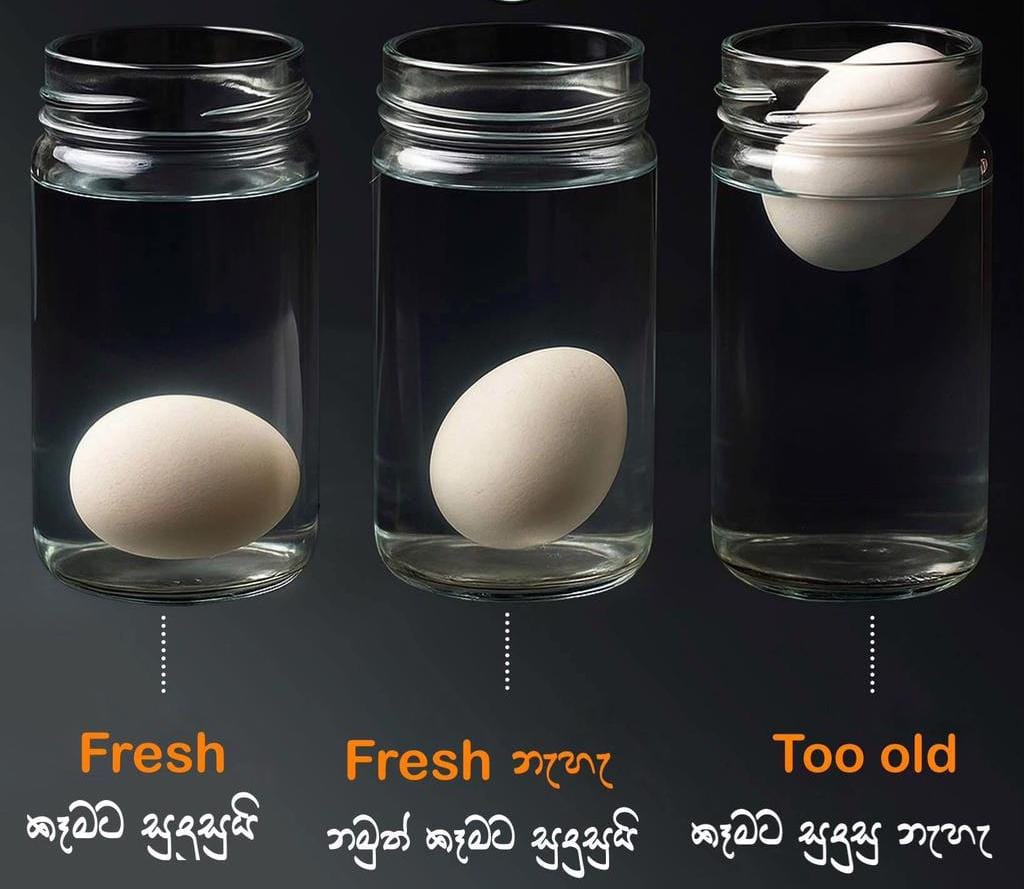 නිවසට ගේන බිත්තර අලුත්ද කියලා දැනගන්න පුලුවන් සරල පරීක්ෂණයක් මෙන්න.