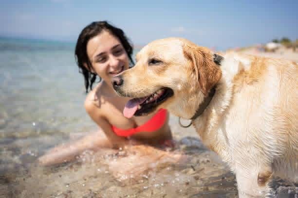 මේක ඇහුවොත් නම් ඔයත් පුදුම වෙයි..බල්ලෙක් ඇති කරාම මෙහෙම වෙනවද.හෘදයාබාධ,අංශභාග වැනි රෝග සුව කරගෙන වැඩිකල් ජීවත් වෙන්න පුලුවන් ක්‍රමයක් මෙන්න.