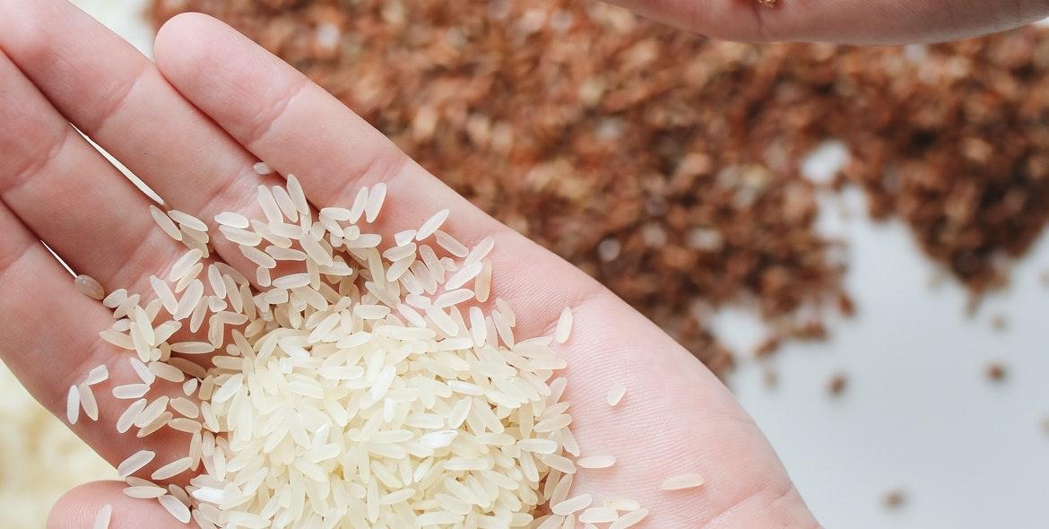 ගුල්ලන් නොකා සරලව ගුල්ලන් පලවා හරින්න පුලුවන් සුපිරි ක්රම 08 ක් මෙන්න.