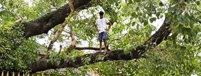 මොන හිතකින්ද දෙයියනේ නැග්ගේ… අමුතු ෂෝ එකක් දාපු තරුණයාට වෙච්ච දේ මෙන්න.