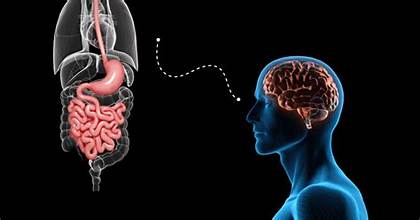 මේ ගැටලුව නිසා ඔබත් පීඩාවෙන්ද..? ඔබගේ බඩවැල් පිරිසිදු කරන විශ්මිත පානයක් මෙන්න..