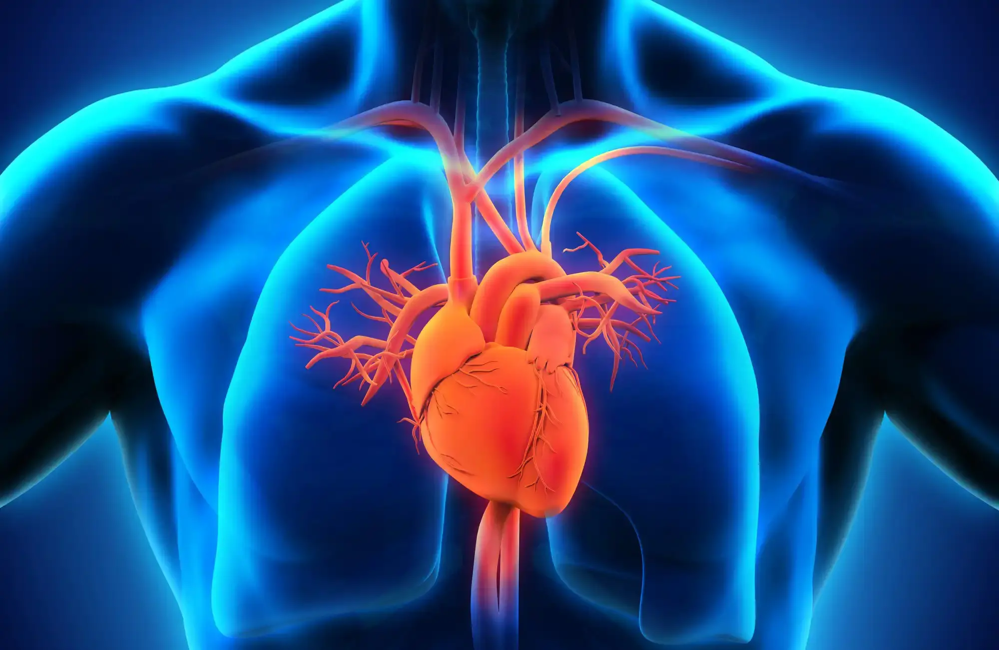 හදවත ගැනත් හිතන්න. දිට්වා සුළි කුණාටුව රටට විතරක් නොවෙයි ඔබේ හදවතටත් බලපෑම් එල්ල කරලා.