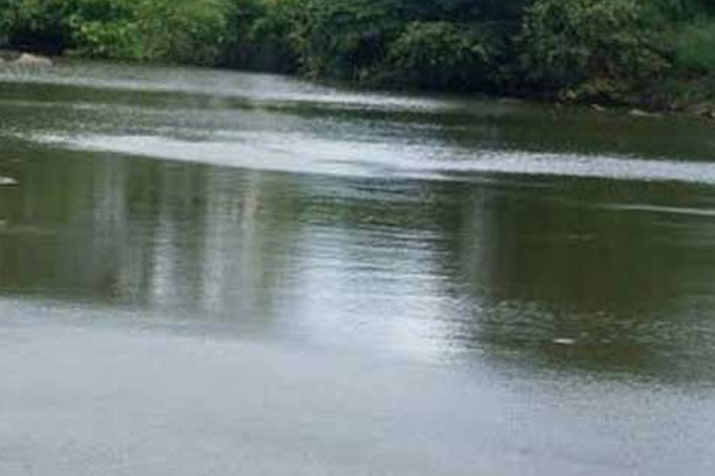 සියදිවි හානි කරගන්න මල්අතු ඔයට පැන්න මව බේරාගනී – දරු දෙදෙනා සොයා මෙහෙයුම්