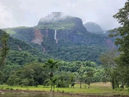 මගේ රටේ මිනිස්සු කවදාවත් මෙහෙම අවසන් ගමන් යන්න නෙමෙයි කියලා හිතන්නෙවත් නැතුව ඇති… මාධ්‍යවේදියෙකු තැබූ සංවේදී සටහනක් මෙන්න