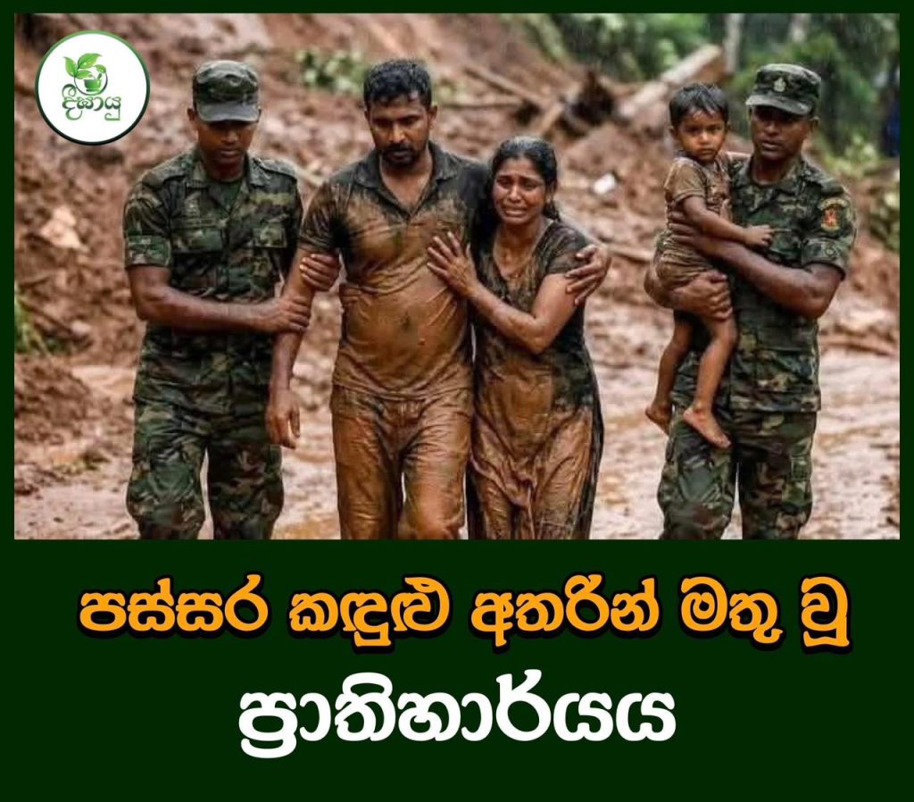 මඩ යට වැළලුණු ජීවන හුස්ම… පස්සර කඳුළු අතරින් මතු වූ ප්රාතිහාර්ය මෙන්න
