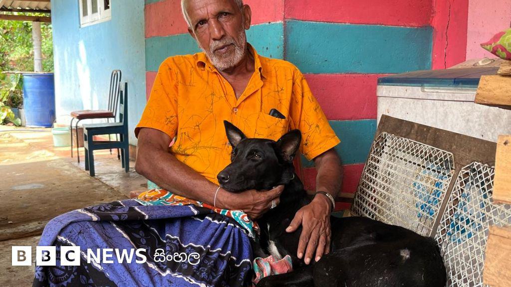 අපේ බල්ලා ‘චූටි’ නැත්නම් අපි ඉවරයි… එයා සංඥාව දුන්නා අපි ජීවිත බේර ගත්තා” සුනඛයෙක් නිසා ජීවිත බේරාගත් මාස්පන්න මිනිස්සු…