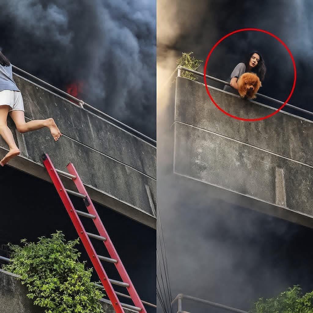 WhatsApp Image 2025-12-12 at 8.56.23 AM