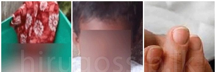 WhatsApp Image 2025-12-15 at 12.03.51 PM