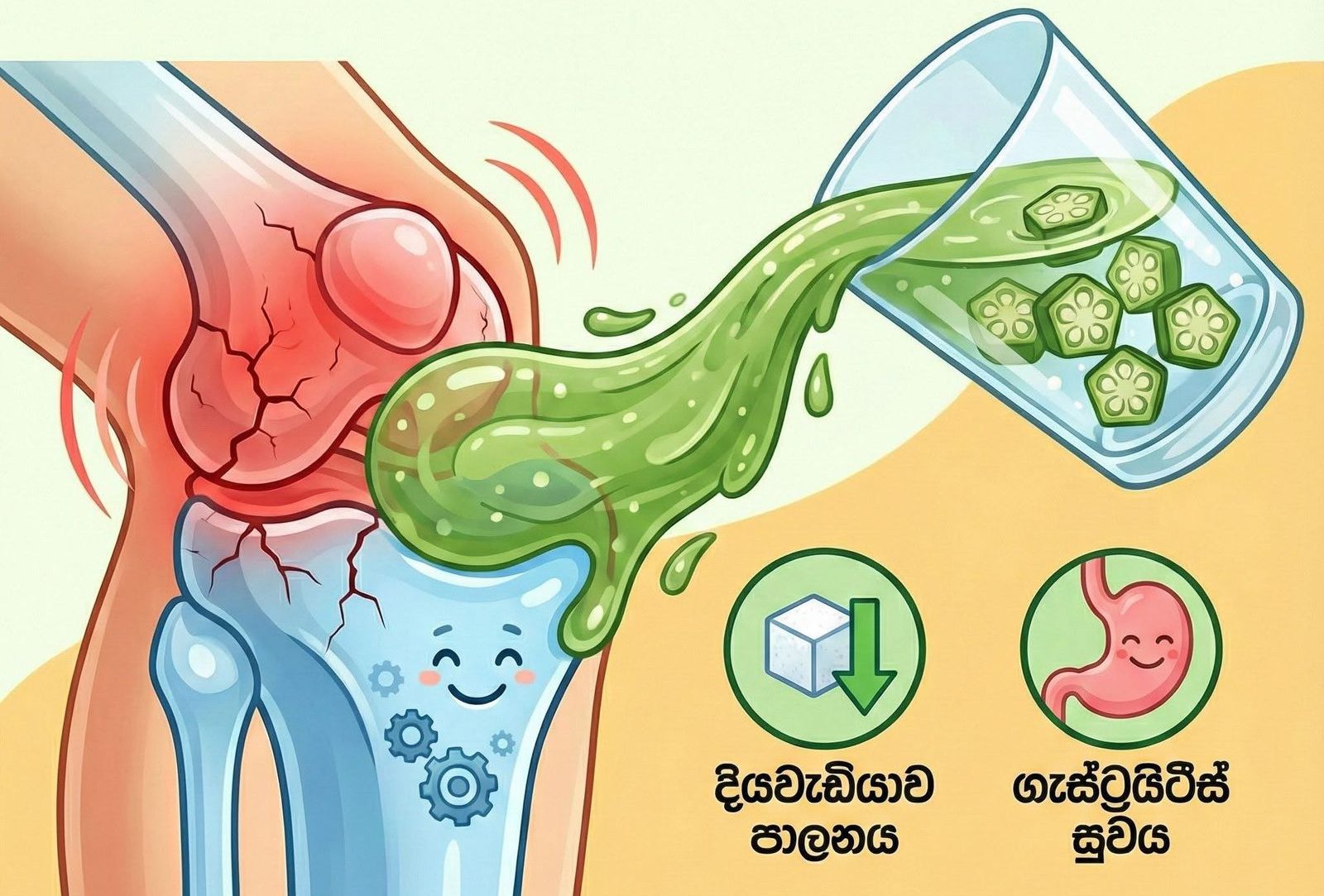 WhatsApp Image 2025-12-26 at 10.13.30 PM