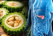 තිත්තයි කියල විසි කරන ස්වාභාවික ඉන්සියුලින්..දියවැඩියාව නිට්ටාවටම සුව කරන සුපිරි බෙහෙත හදාගන්නේ මෙහෙමයි..