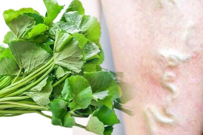 WhatsApp Image 2025-12-26 at 11.31.52 PM