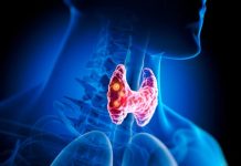 කන්නෙ නැතත් මහත් වෙනවද? කොණ්ඩෙ යනවද? මේක තයිරොයිඩ් ප්රශ්නයක් වෙන්න පුළුවන්.හේතුව මෙන්න..