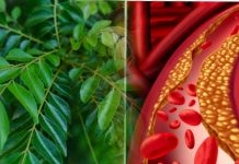 කරපිංචා කොළේ විසි කරන්න කලින් දෙපාරක් හිතන්න.. ඔබ මේ විසි කරන්නේ කොලෙස්ටරෝල් දිය කරන දිව ඔසුවක් කියලා දන්නවද?