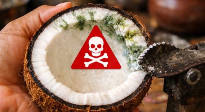 WhatsApp Image 2025-12-29 at 6.20.30 PM