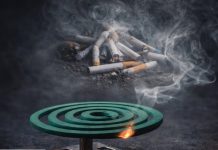 එක මදුරු කොයිල් එකකින්..සිගරට් සීයක විසක් පිටවන බව දන්නවාද? පත්තු කරන්න කලින් දෙපාරක් හිතන්න…