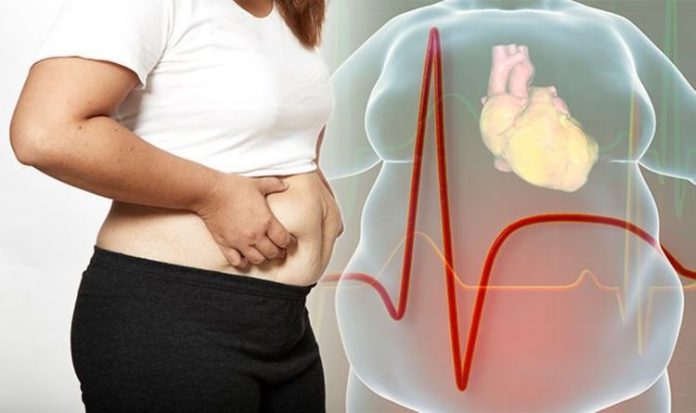 WhatsApp Image 2025-12-29 at 6.26.22 PM