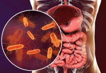 දිගටම තියෙන ගැස්ට්රයිටිස් වලට හේතුව මේ හොරා වෙන්න පුළුවන්…