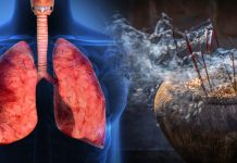 හඳුන්කූරු දුමත් සි ග ර ට් දුම තරම් ම පෙනහලු වලට භ යා නකයි.පරිස්සම් වෙන්න..