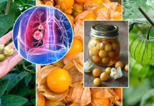 පිළිකා සුවකරන අපිට අගයක් නැති පිටරට වල අධි මිලට විකිණෙන පළතුර