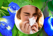 බුද්දධාස රජ සමයේ සිට පැවත එන සෙම සුව කරන කටරොළු බෙහෙත මෙන්න