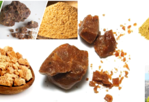 මාරාන්තික බෝවන රෝග නසන දිව ඔසුව පෙරුම්කායම් ඔබ නොදත් විශ්මිත හෙළිදරව්වක් මෙන්න