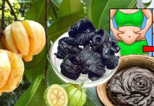 ගොරකා චුර්ණයෙන් බඩ අඩුකරගන්න හැටි මෙන්න