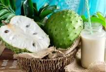 දිව ඔසුවක් වූ කටු අනෝදා වලින් ඔබේ සිරුරට ඇති සෞඛ්ය ප්රතිලාභ..