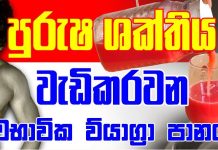 බිව්ව ගමන් සැනෙකින් ශිෂ්ණය ප්රාණවත් වෙන ස්වභාවික ව්යාග්රා පානයක් නිවෙසේදීම සකසාගන්න හැටි