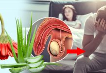 පිරිමින්ගේ අප්රාණිකත්වය නැතිකරන කෝමාරිකා ජෙලි