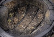 කොණ්ඩේ යනවට කොච්චර බෙහෙත් කරත් ප්රතිථලයක් නැද්ද ? දිනපතා දාන හෙල්මට් එකෙන් මෙන්න විසඳුම..