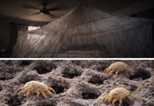 මදුරුවන්ගෙන් බේරෙන්න දාන්ස් මදුරු නෙට් එකෙන් ඔබ නොහිතන ලෙඩ රෝග රැසක් හැදෙන්න පුළුවන් කියලා දන්නවද ?