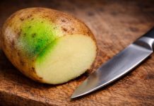 අල ගෙඩියේ පොත්ත කොළ පාට වෙලාද ? එහෙනම් කන්න තියා හිතන්නවත් එපා.. හේතුව මෙන්න