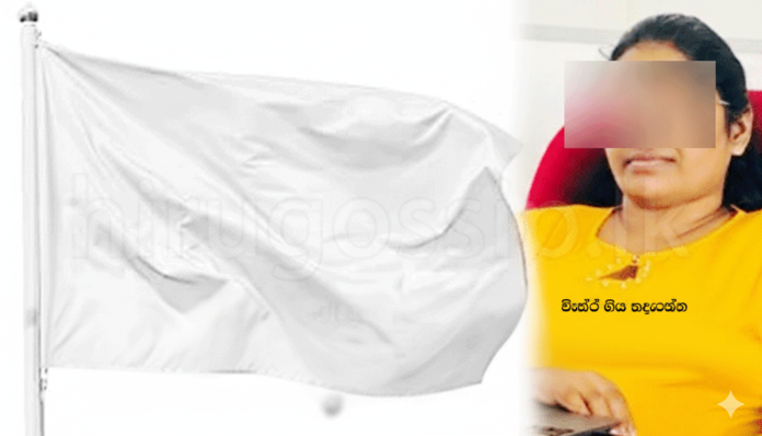 Gemini_Generated_Image_p9ooi2p9ooi2p9oo