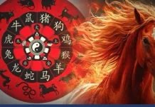 ඔබ උපන් වර්ෂයට අනුව චීන ලග්න ක්රමයට මේ වසරේ ඔබට කොහොමද?