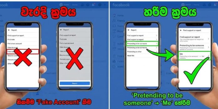 WhatsApp Image 2026-01-03 at 11.16.49 AM