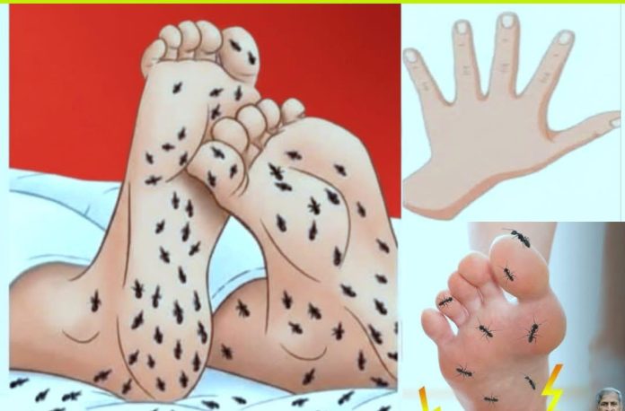 WhatsApp Image 2026-01-03 at 9.33.52 AM