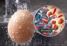 ෆ්රිජ් එකේ දාන්න කලින් කඩෙන් ගෙනාපු බිත්තර හෝදනවාද? එහෙනම් මේක අනිවාර්යයෙන් කියවන්න..