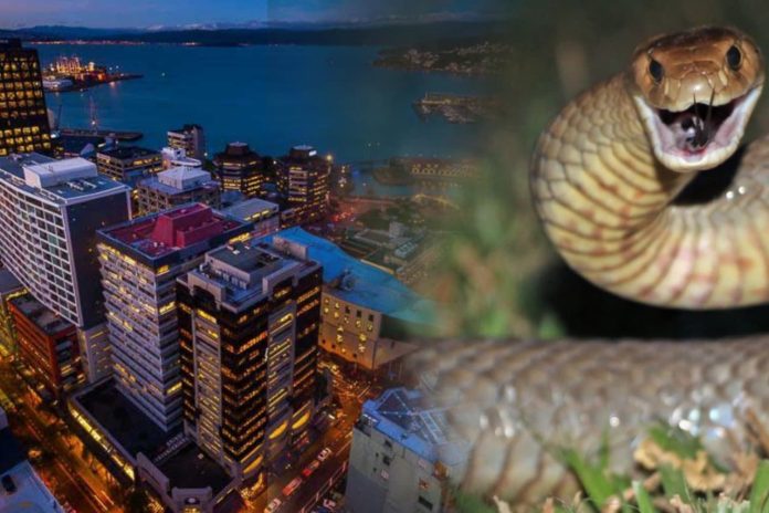 WhatsApp Image 2026-01-12 at 11.38.33 AM