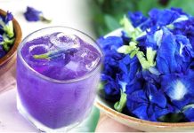 පි.ළිකා නසන, සෙම කැස්ස සුව කරන දිව්යමය ඔසුවක් බඳු නිල් කටරොළු වල විශ්මිත ගුණ මෙන්න..