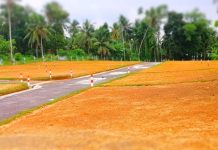 ඉඩමක් ගන්නද හිතාගෙන ඉන්නේ? එහෙනම් ඉඩමක් ගන්න කලින් මේ දේ අනිවාර්යෙන් බලන්න.