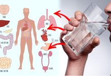 තරබාරුව ඇතුළු රෝග රැසක් මට්ටු කරන උණු වතුර සත්කාරය ගැන හරියටම දැනගන්න.