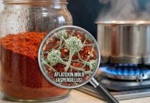 මිරිස් කුඩු බෝතලේ තියන්නේ ලිප ළඟමද? රස්නෙට හැදෙන වෙන්නෙ මොකද්ද කියල හරිය්ට දැනගත්තේ අදමයි..