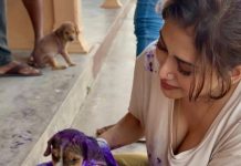 “දවසක අරන් යන්නේ කරන පින විතරයි..” – වඳින්න ගිය තලවිල පල්ලියේදී පියුමිගේ හිත උණු වුණු හැටි.. – photos