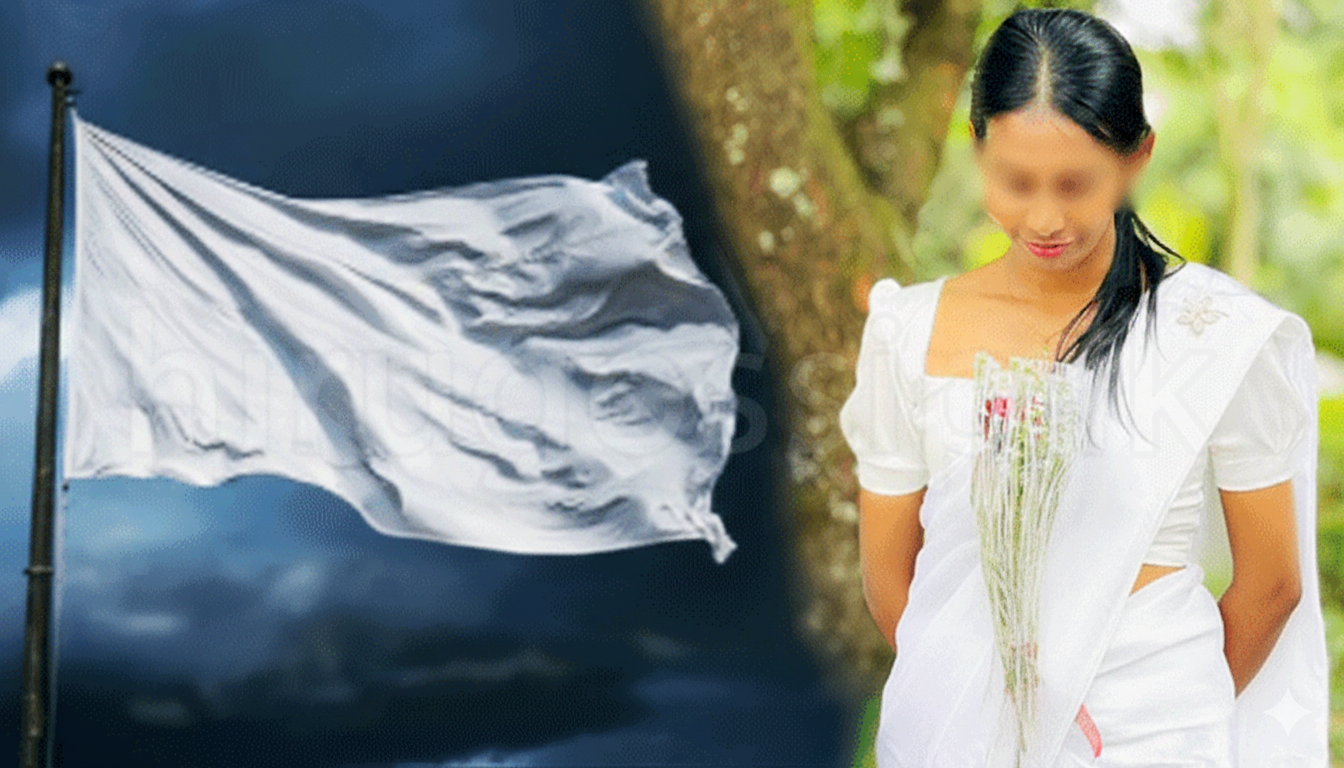 Gemini_Generated_Image_mc9g0nmc9g0nmc9g